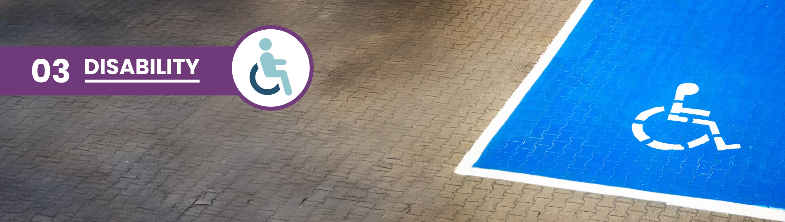 Social Protection Banners 03